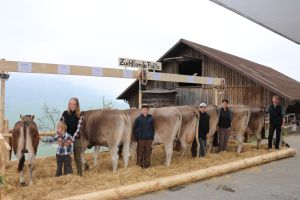 3   ZF Polita von Urs Kslin Ennetbrgen A78